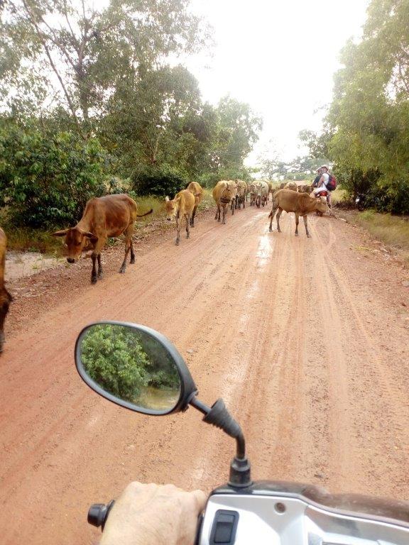Photo de groupe avec des voyageurs